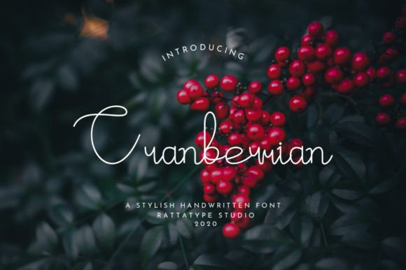Cranberrian: A Luxurious Handwritten Typeface for Digital Branding