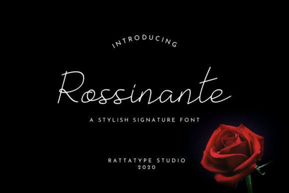 Rossinante Typeface: Elegant Script for Campaign Clarity